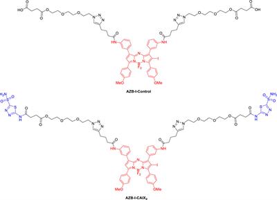 Aza-BODIPY based carbonic anhydrase IX: Strategy to overcome hypoxia limitation in photodynamic therapy